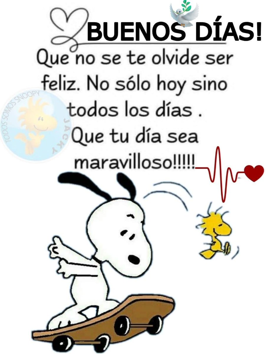 CarlosRjs10's tweet photo. Buenos días gente !!! 🙏🕊️ 
#FelizDomingoParaTodos 🤗 🙌 🍀 https://t.co/YmlWxKhAyd