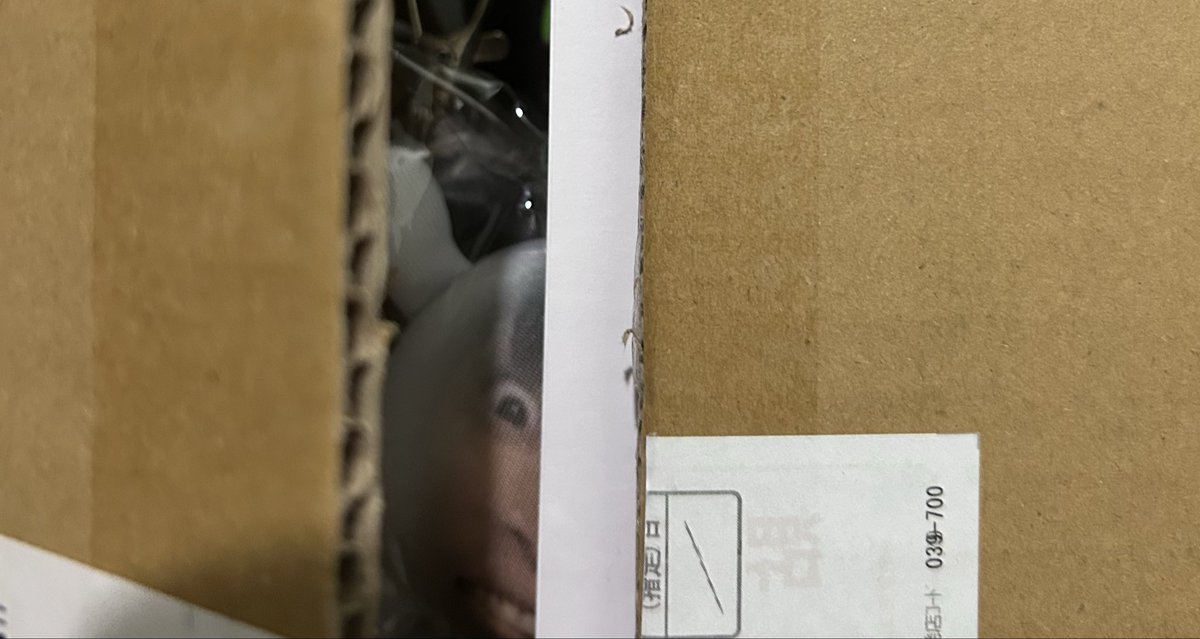 so_sr28's tweet photo. ダンボールの蓋開けた瞬間目があって無理wwwww
#Gero https://t.co/r2WL3Nalrl