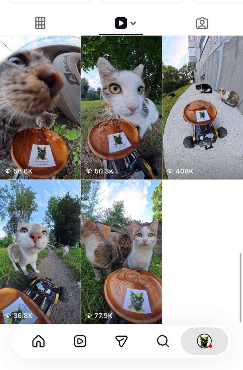 Banger_Cat's tweet photo. Our street cat reels are going viral on Instagram. 🐾🔥

One video alone has passed 400K+ views, with 631K+ total views across all 5 videos.

Follow us on Instagram: 
https://t.co/94dOJrdAO9 https://t.co/nchEPFt88z