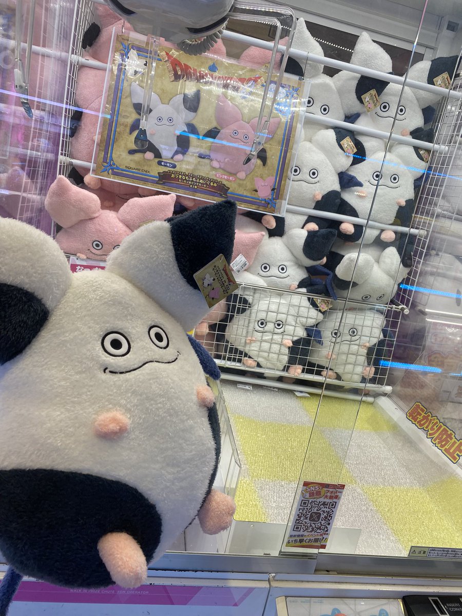 0205yorusora's tweet photo. モーモン捕獲(多分1000？確率無視GET)
後日ピンクモーモンも捕獲予定 https://t.co/WvNjIU5JJD