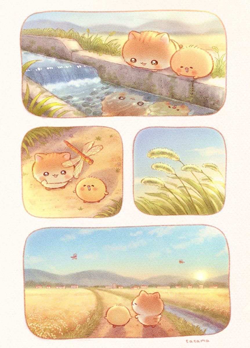 tatamaoekaki's tweet photo. 秋風さんぽ(2/2) https://t.co/VytUJ1YJRF