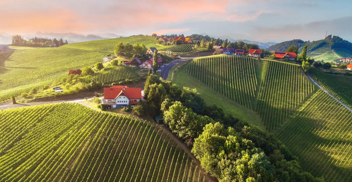 LiubistaSlav's tweet photo. Beautiful Grenzlandregion where I am from. The border land at the Austrian/Slovenian border. 🇦🇹🇸🇮 https://t.co/NLgjYLJVDC