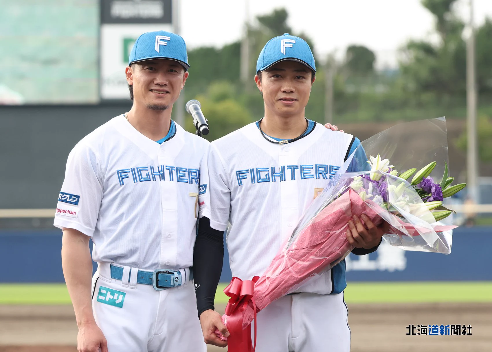 北海道新聞写真映像部 on X: 