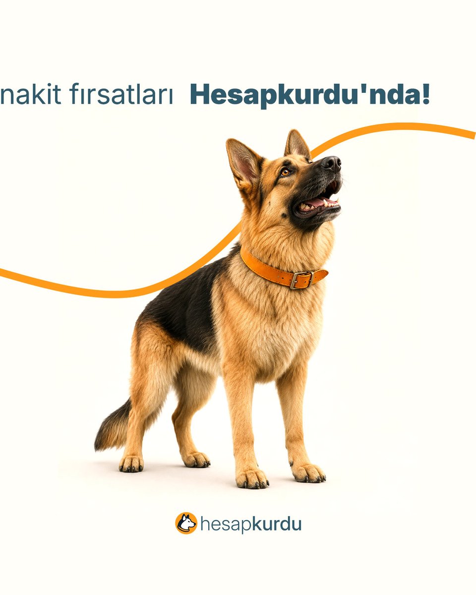 Hesapkurducom's tweet photo. Faiiiiiiiiiiiizsiz nakit fırsatları Hesapkurdu'nda! 💸✨

#Hesapkurdu #FaizsizNakit #KıyaslaYakala #SıfırFaiz https://t.co/RrcXEALNJC