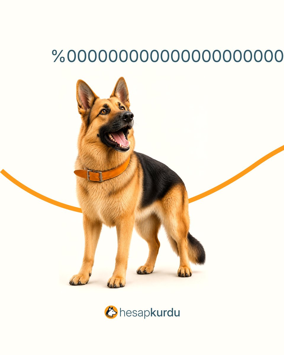 Hesapkurducom's tweet photo. Faiiiiiiiiiiiizsiz nakit fırsatları Hesapkurdu'nda! 💸✨

#Hesapkurdu #FaizsizNakit #KıyaslaYakala #SıfırFaiz https://t.co/RrcXEALNJC