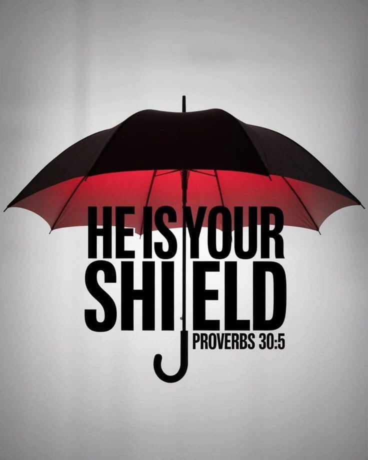 Aestheticswallz's tweet photo. He is your shield. https://t.co/rbhHplZSLw
