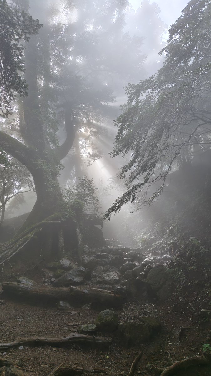 Ronwey_DQwalker's tweet photo. 体力づくりと初めて購入した登山道具のテストのために大山を登ってきました⛰️

足がパンパンだし霧で景色が何も見えなかったけど登り切った達成感はあるぜ💪 https://t.co/oeE5zVtKiv