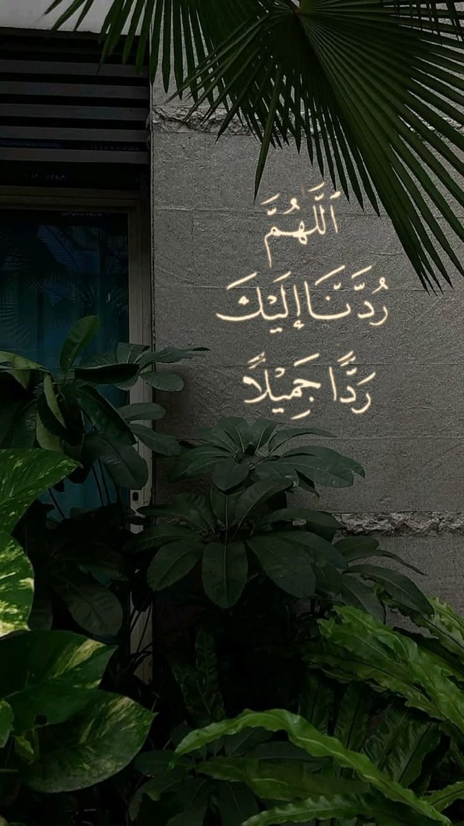 saraelskafi's tweet photo. https://t.co/VBnGVdQtnu
