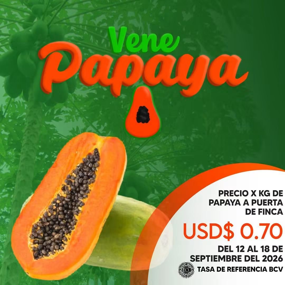 campocafeciudad's tweet photo. Precio sugerido por kilogramo de Papaya a puerta de finca para el período del 12 al 18 de septiembre de 2026 

Fuente: VENEPAPAYA

#Venezuela #Agricultura #Papaya #AgroEconomía #CampoCafeCiudad https://t.co/w1EfIJiZpR