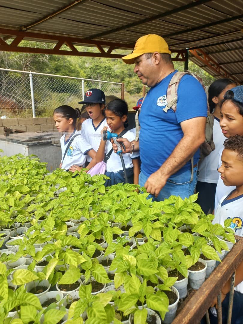 ElNacionalWeb's tweet photo. #13Sep | 🌶️🇻🇪 El ají margariteño tiene una protección que reconoce su identidad y origen, pero enfrenta un desafío que amenaza su futuro: la falta de agua. A dos años de obtener la Indicación Geográfica Protegida, los productores todavía luchan por llevar el cultivo a una escala que permita abastecer el mercado nacional y conquistar mercados internacionales.

🌱 El producto, considerado el primer ají venezolano protegido bajo esta figura, conserva características vinculadas al territorio, las semillas y el conocimiento agrícola de generaciones. Sin embargo, la producción se ha reducido y los agricultores no pueden garantizar los volúmenes necesarios para responder a pedidos internacionales.

✍ @karemwithanem 
📸 Larry Linares / Moi Gourmet 

🔗 Más detalles en nuestra web https://t.co/4F5GX9TMmw