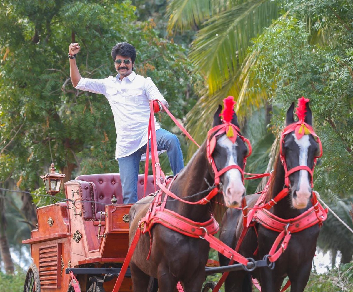 Sasikumar_TNJ's tweet photo. SK's First Action Entertainment! Stylish SWAG With Rural background Sequence Subject Massively👍 Flash back Portion "Kadambavel Raja" at that time dialogue delivery Huge level Performance🔥
#Sivakarthikeyan
Always Fans,Family,Kid's Favorite #Seemaraja #8YearsOfSeemaraja #Seyon https://t.co/2nzSOHTLci