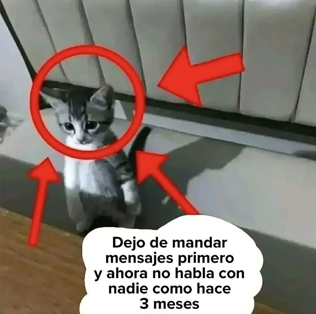 wikipistacho's tweet photo. https://t.co/8ADAzGm91V