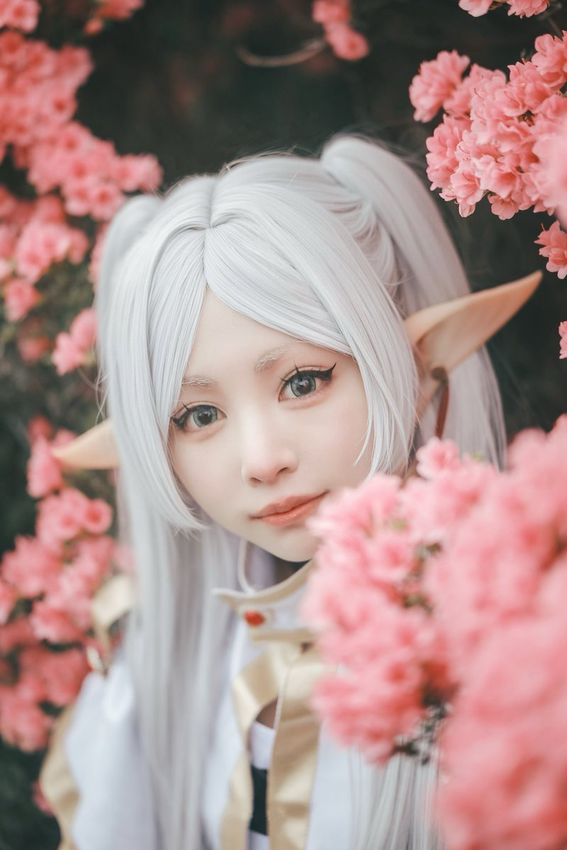 hiyota0612's tweet photo. #cosplay  𓆸
 
葬送のフリーレン𓂃🌸𓈒𓏸

📸和さん(@05kazu_ki22 ) https://t.co/aJlI7y1IdS
