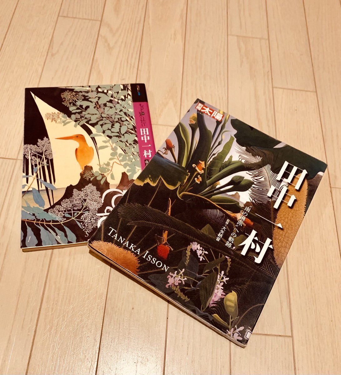pneuma_2016's tweet photo. 【pneuma コンサート情報】

図書館で借りた田中一村の本から受けた沢山のインスピレーションが、表現に生かされているえりかさん📚
そんなえりかさんおすすめの2作品をご紹介🦓🖼️ これを機に、皆さんも一村の作品を見てみてください！ https://t.co/JnwX3NOkqO