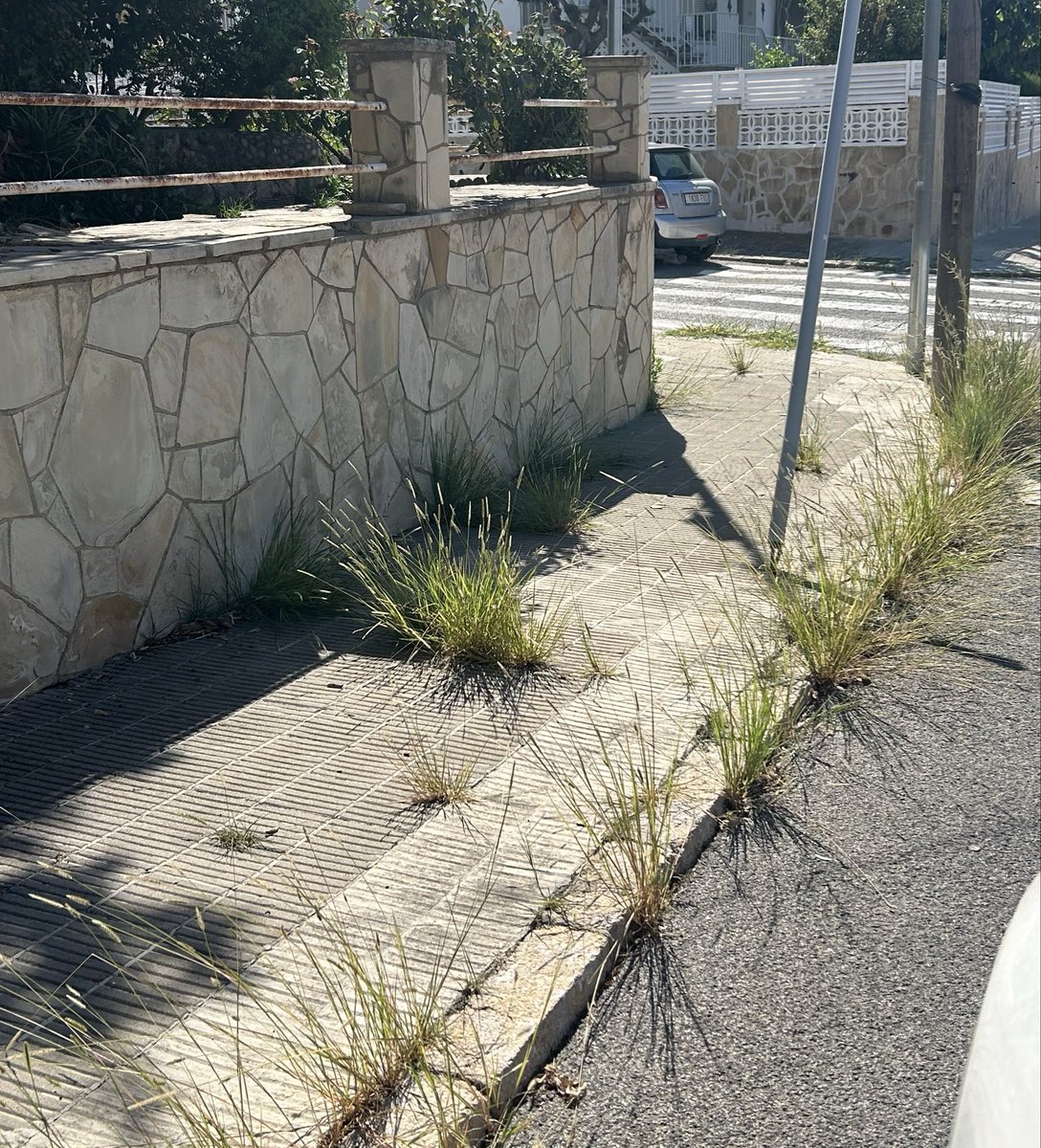 eferrer79's tweet photo. Passen les setmanes i aixi seguim a la Urb. Bellamar de Calafell on els contenidors estan rebentats i plens amb la consequent mala olor i les voreres que ja semblen una jungla. Fins quan @AjCalafell ? Pujeu impostos de basures i ens feu posar guals inutils per tenir aquest servei https://t.co/BHj6sqxks3