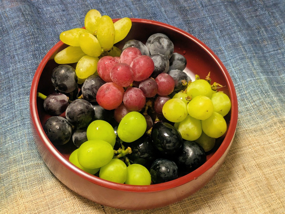 CBPVa's tweet photo. ぶどうのライファー４種。これで食べたぶどう30種に。
ゴールドフィンガー
富士の輝
コトピー
涼香
以上中野市産

以下は頂き物、うちの地元産
シャインマスカット（香り）、ナガノパープル、シャインマスカット（甘さ） https://t.co/zQplnRFuzP