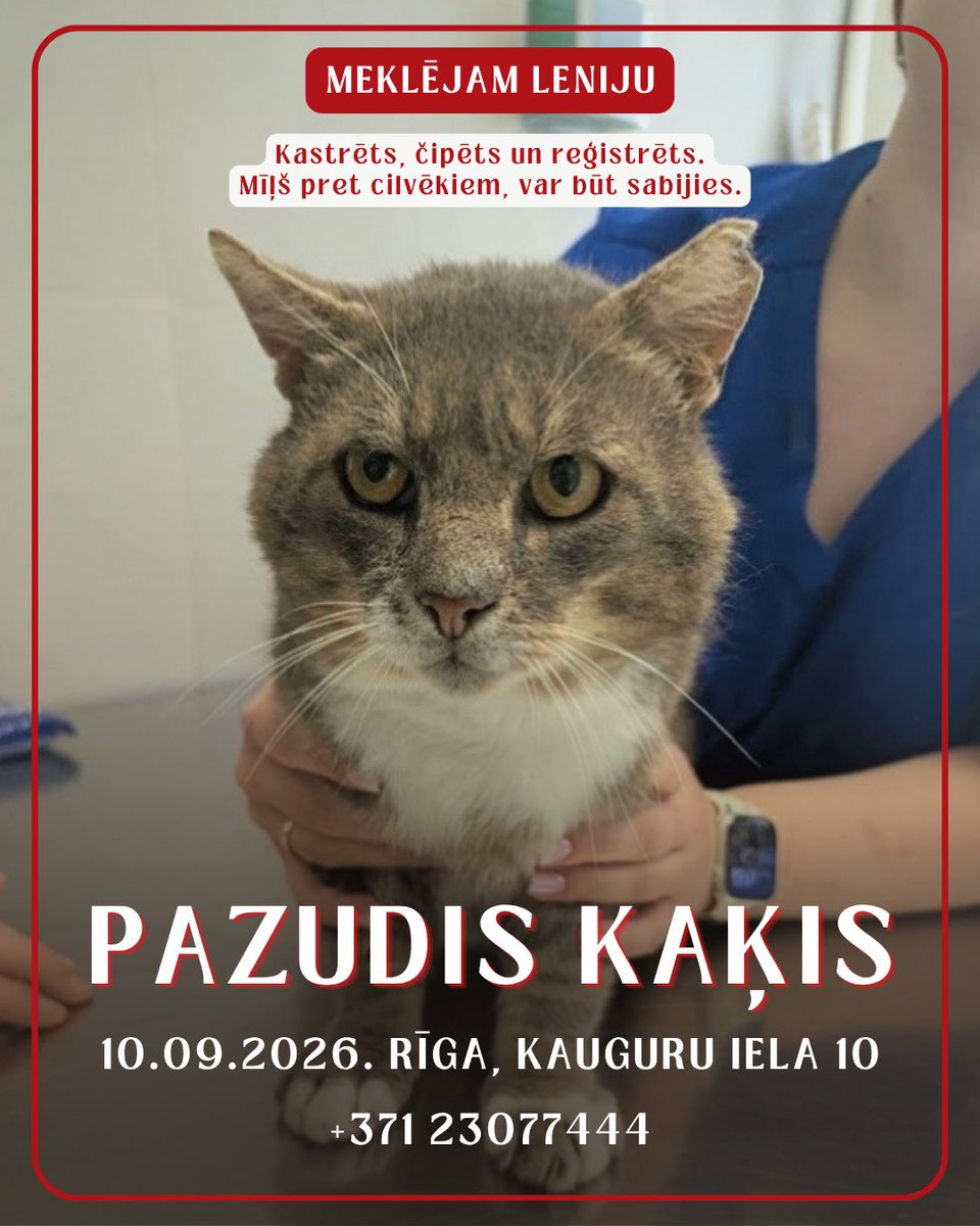 remicentrs's tweet photo. 🆘 Meklējam Leniju! Noteikti meklēs cilvēka palīdzību - izmucis un pazudis sev nezināmā teritorijā 🆘 https://t.co/T1Btgte3DC