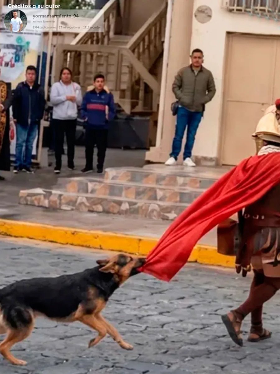 trad_west_'s tweet photo. Stray dog tried to protect Jesus during a Passion reenactment.

Seeing “Jesus” being struck and dragged away, the dog rushed in, grabbed the soldier’s clothes, and later stayed close to Him.

Even a stray refused to abandon Christ. https://t.co/AtkWulbzwA