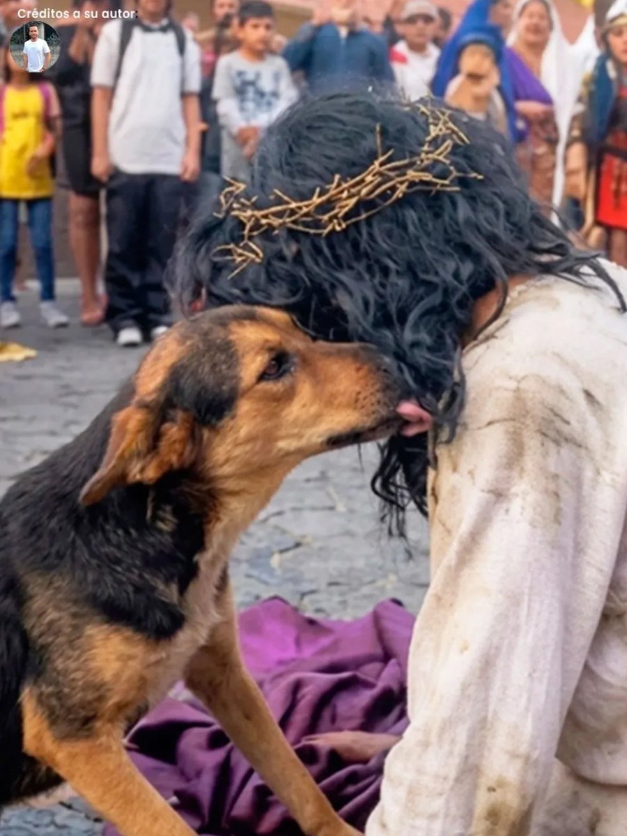 trad_west_'s tweet photo. Stray dog tried to protect Jesus during a Passion reenactment.

Seeing “Jesus” being struck and dragged away, the dog rushed in, grabbed the soldier’s clothes, and later stayed close to Him.

Even a stray refused to abandon Christ. https://t.co/AtkWulbzwA