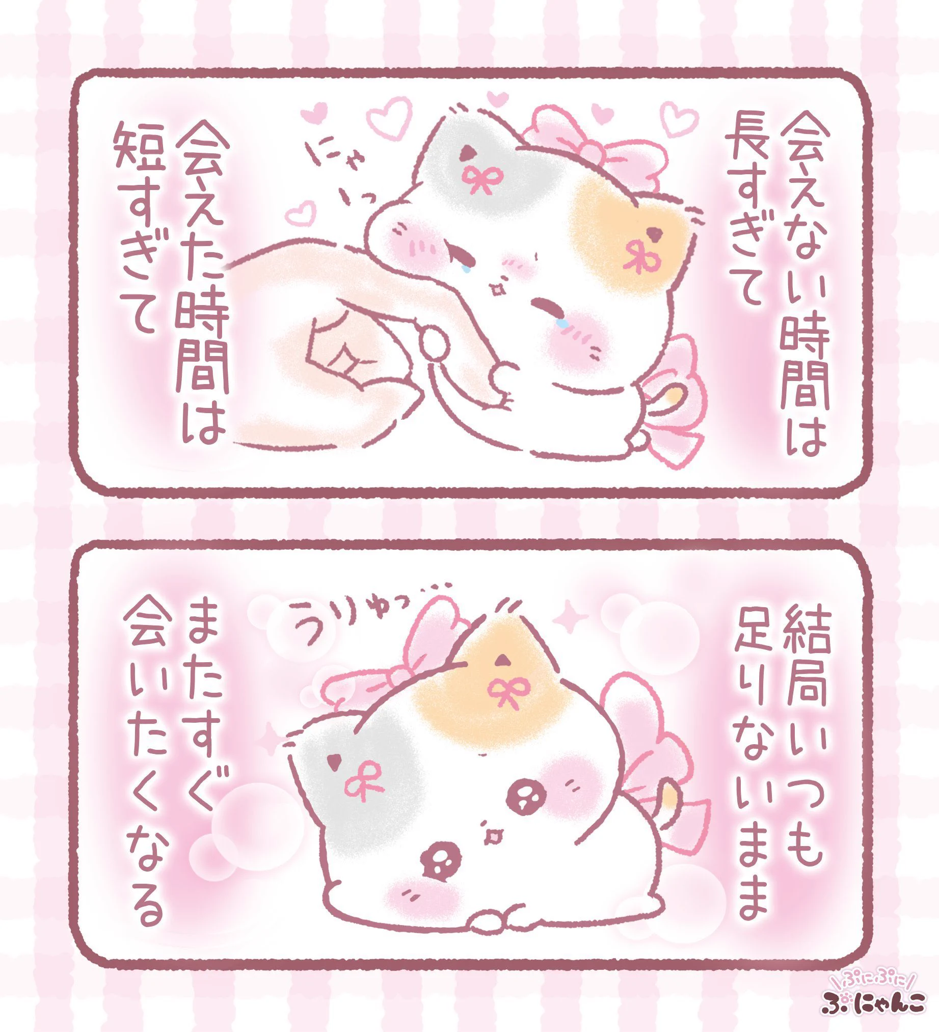 ぷにゃんこ🐾｜TOKUDOME🌼 on X: 
