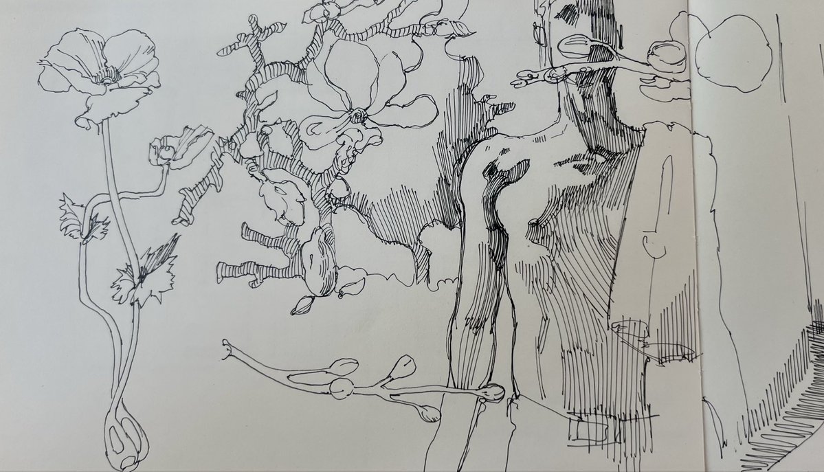 Aelior___'s tweet photo. Sketching daily https://t.co/F7ZoAyQxKq