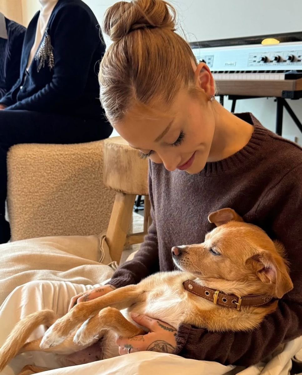 arianaaHQ's tweet photo. ariana grande adopted toulouse 13 years ago ♡ 🥹 https://t.co/iDQL1R8FDq