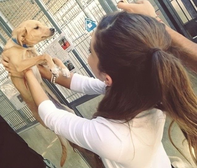 arianaaHQ's tweet photo. ariana grande adopted toulouse 13 years ago ♡ 🥹 https://t.co/iDQL1R8FDq