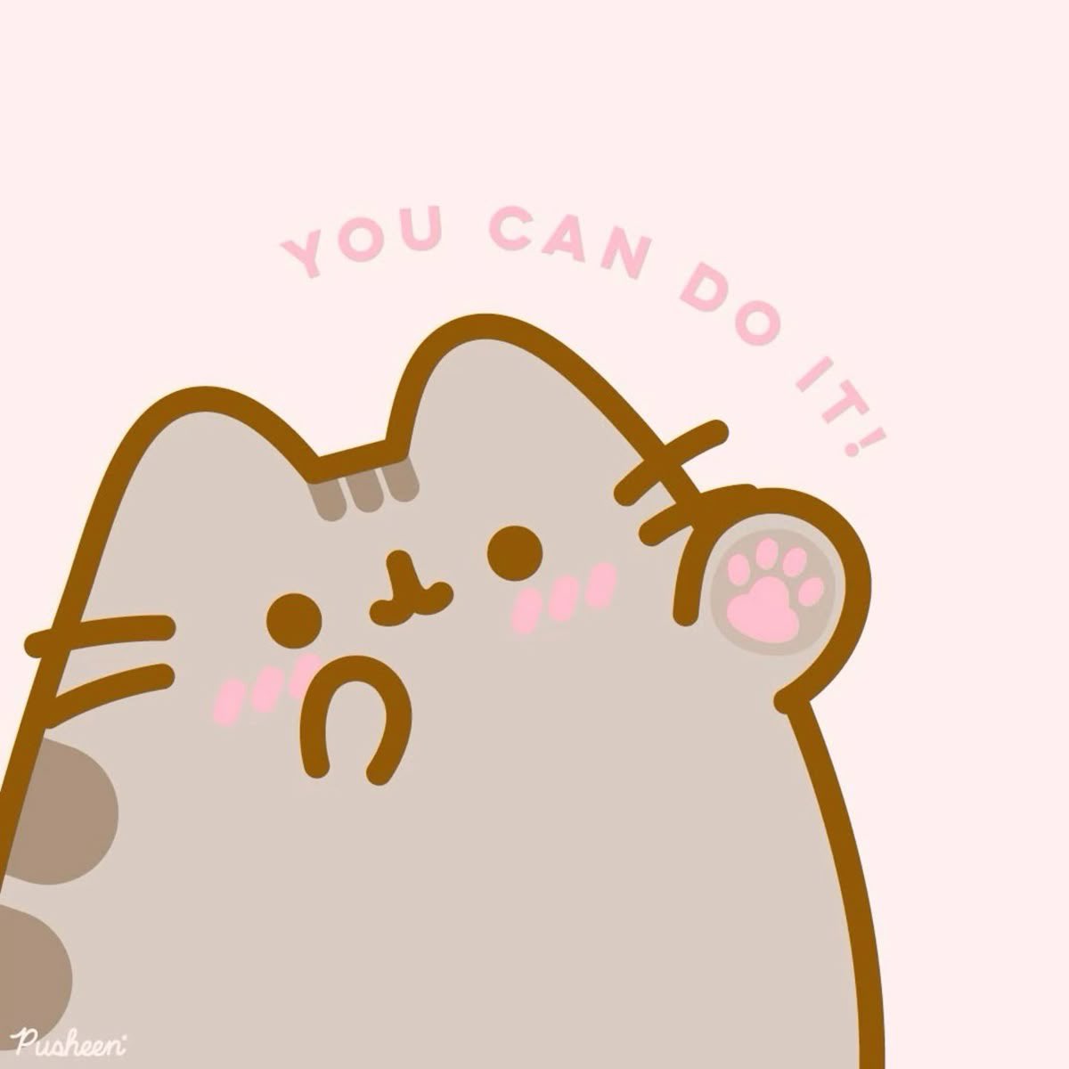 pusheencatfans's tweet photo. https://t.co/ms8iFtLR6r