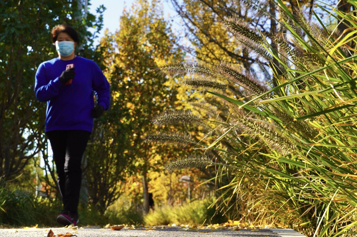 ShalondaRid6k's tweet photo. Woke up to golden autumn breeze and sky full of crisp clouds—perfect for a morning walk with a hot tea in hand. https://t.co/r1AtJIMEOL