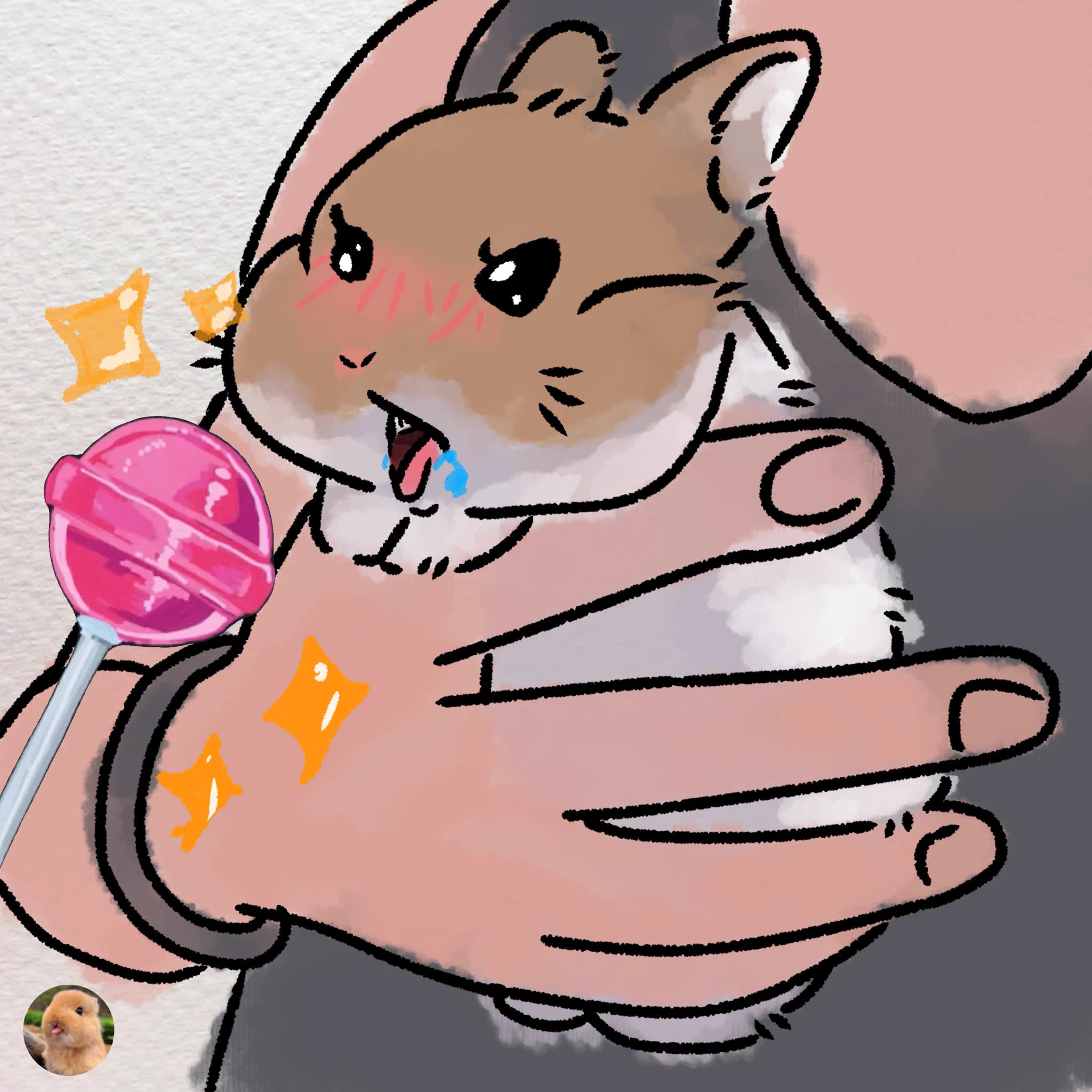 Rabbit_xpページ Why you should have a rabbit on X / X