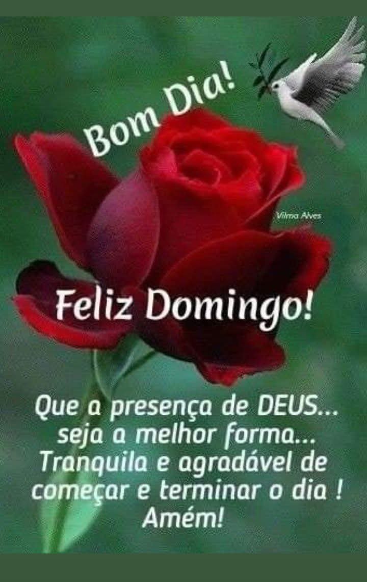 IbelsaMaria's tweet photo. https://t.co/BIQZFW7zz0