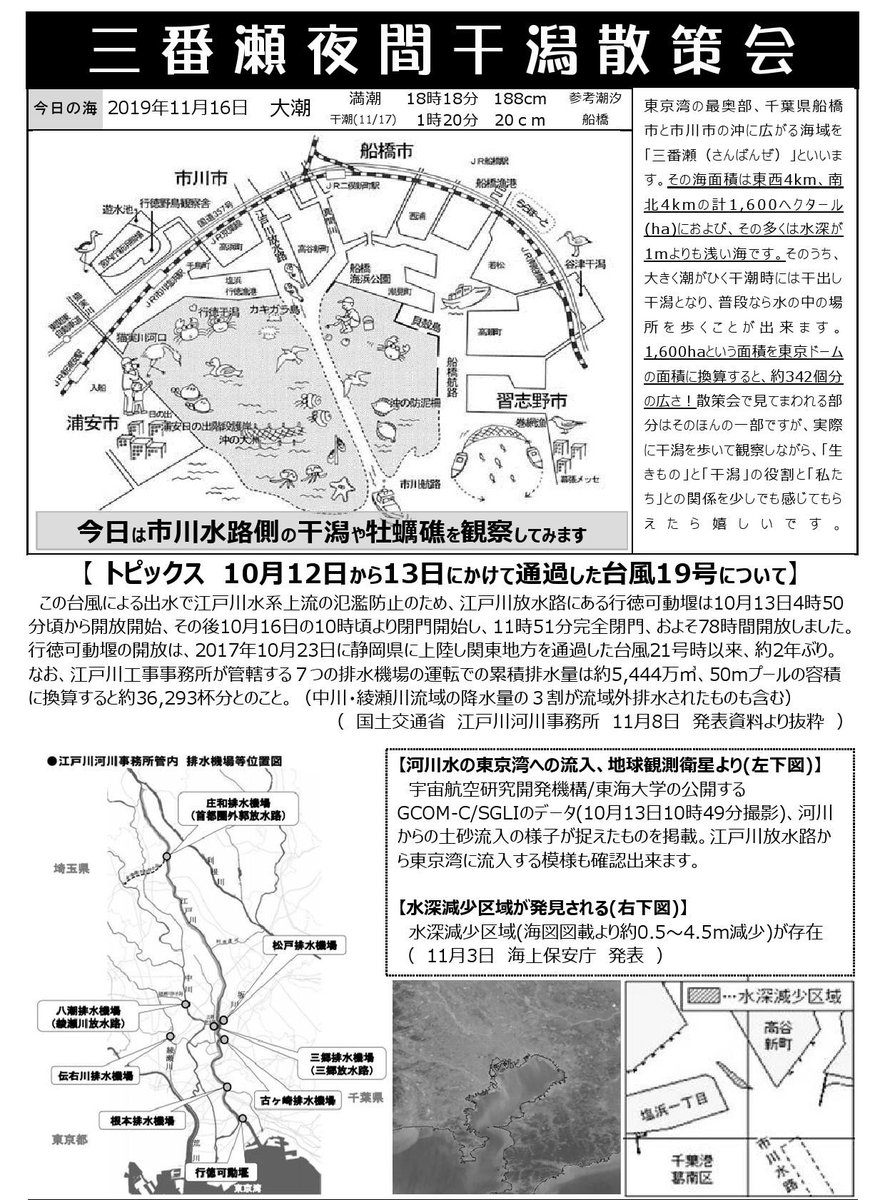 sanbanzeforum's tweet photo. 江戸川放水路可動堰が9/9〜11、約43時間開放されました。2019年は約78時間の開放後、河口や市川水路の水深が減少し、三番瀬にも新たな瀬が出現。今回も地形や水深の変化が予想されます。付近の航行にはご注意を。今回も現場で変化を記録していきます。 https://t.co/jOOR1cXQCU