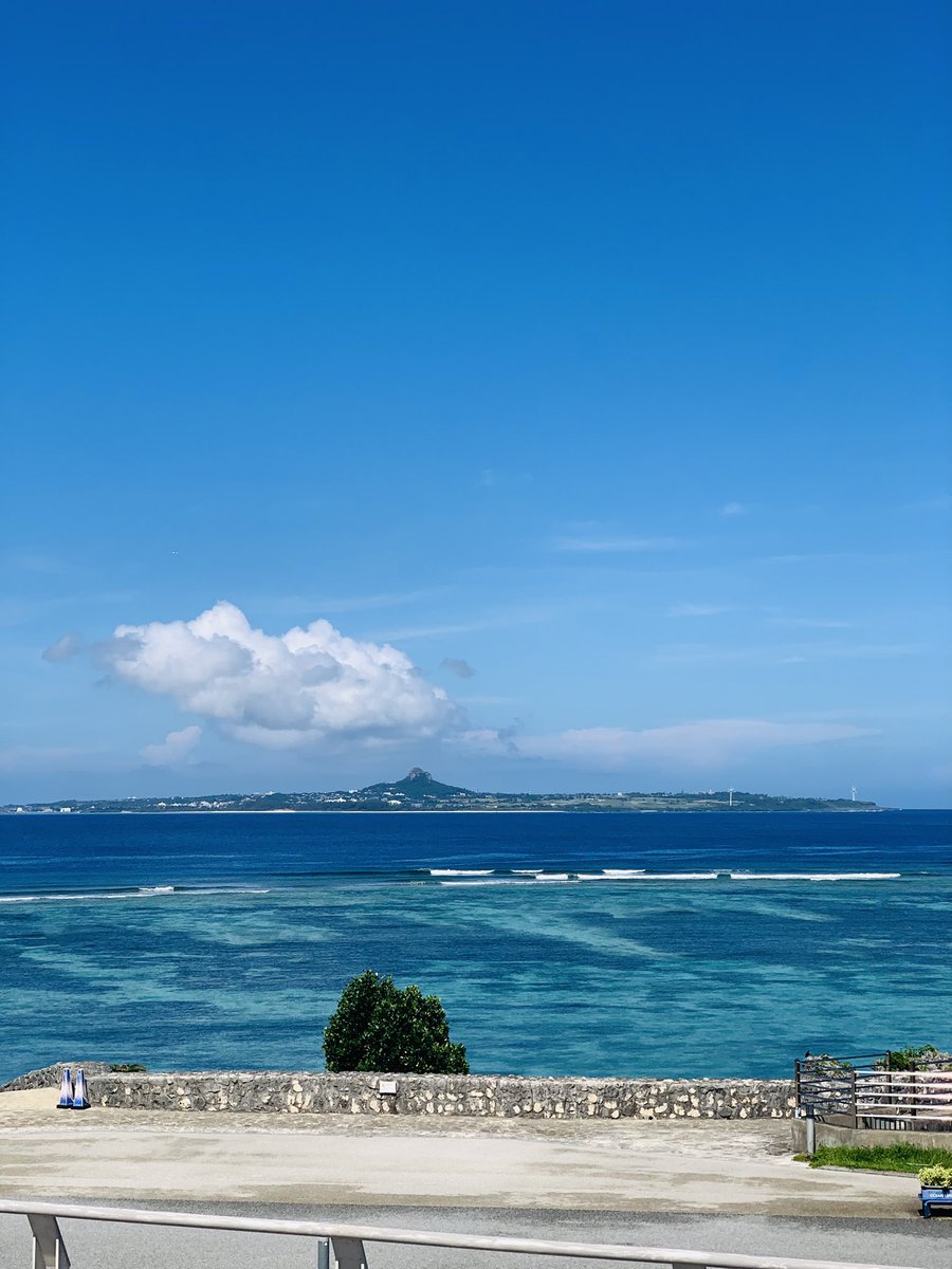 aiRa0690's tweet photo. 美ら海水族館楽しかった😭 https://t.co/zDyj9T1HiJ