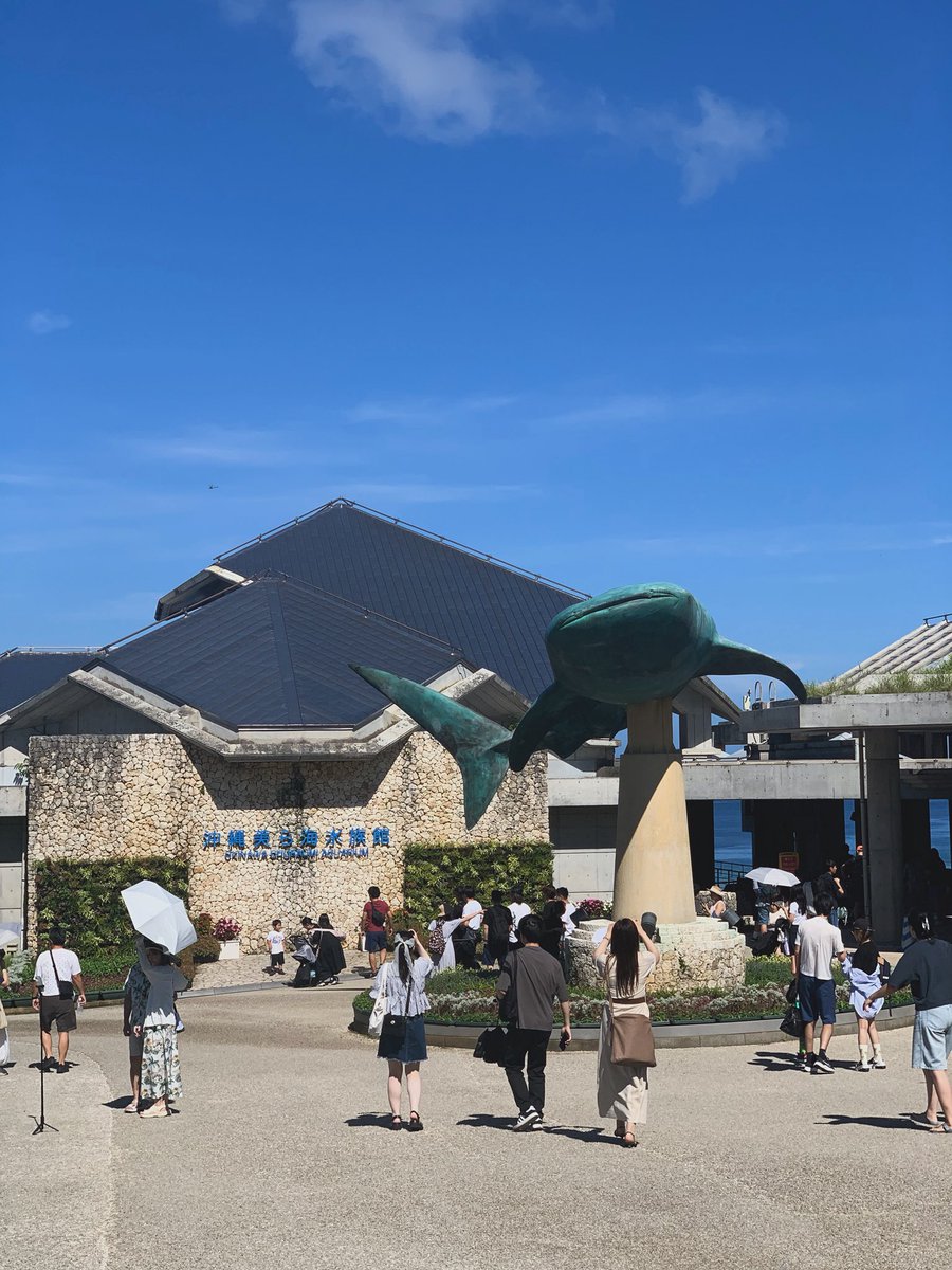 aiRa0690's tweet photo. 美ら海水族館楽しかった😭 https://t.co/zDyj9T1HiJ