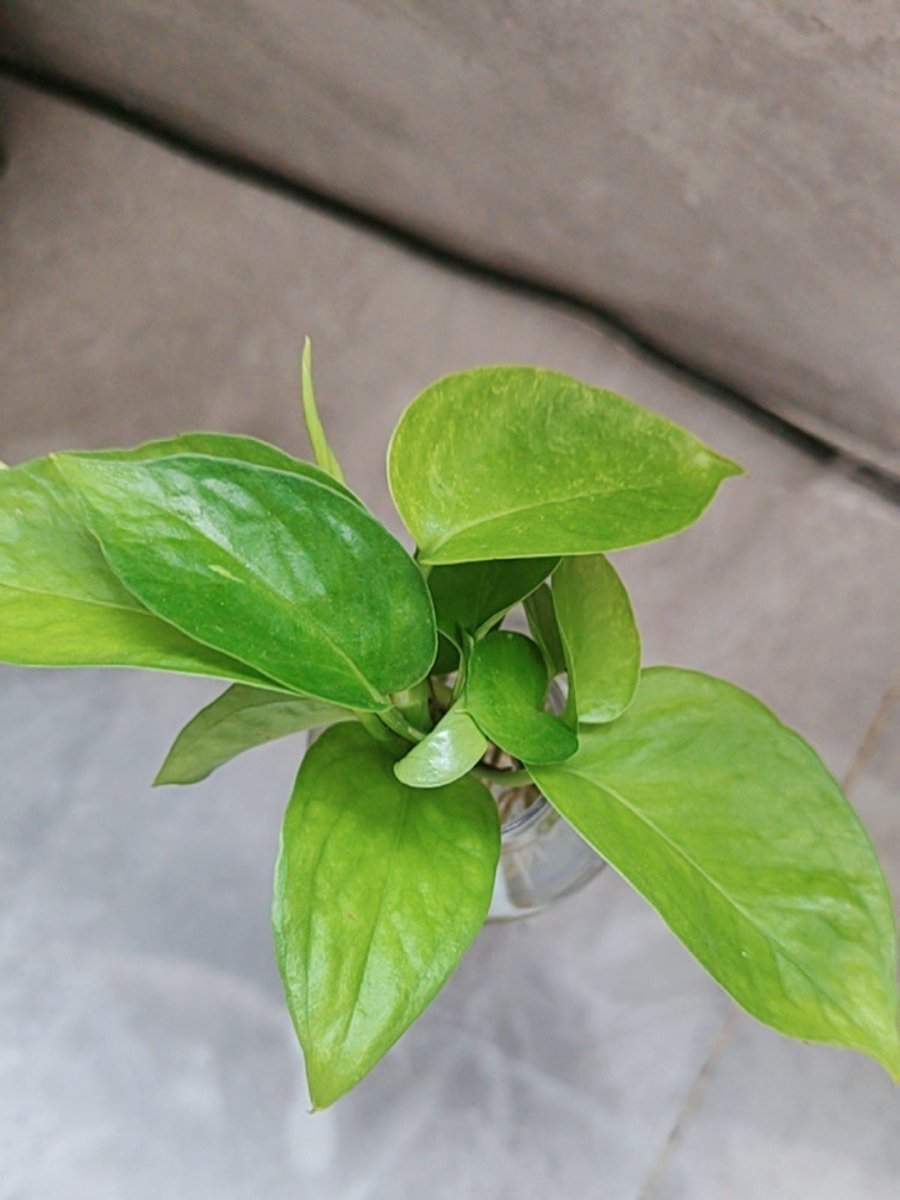 ClaudeMisura's tweet photo. Growth isn’t about becoming someone new—it’s about uncovering the quiet, better parts of you that were always there, waiting to be noticed. https://t.co/Yj8yXtXHjG