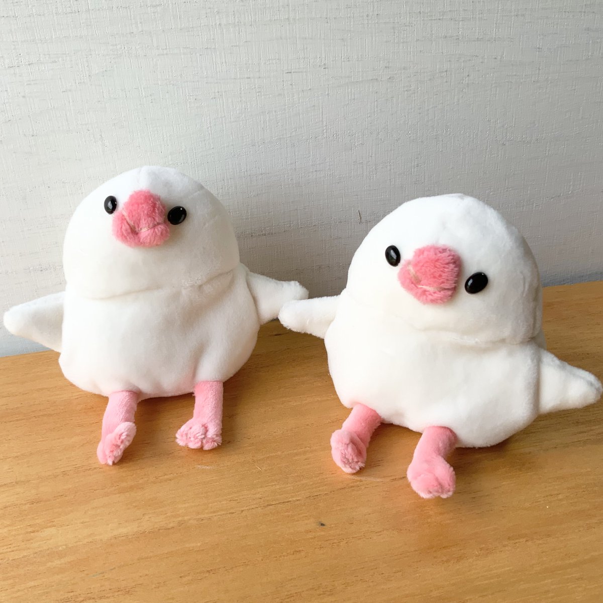 mandorikokko's tweet photo. 兄弟増えました🥰こだわりのあんよも見て https://t.co/CnO6Ve4GWi