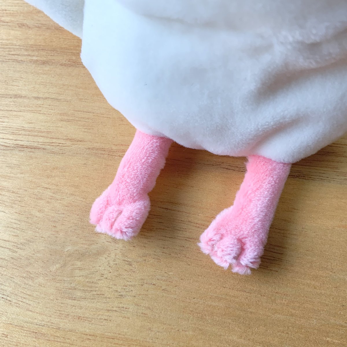 mandorikokko's tweet photo. 兄弟増えました🥰こだわりのあんよも見て https://t.co/CnO6Ve4GWi