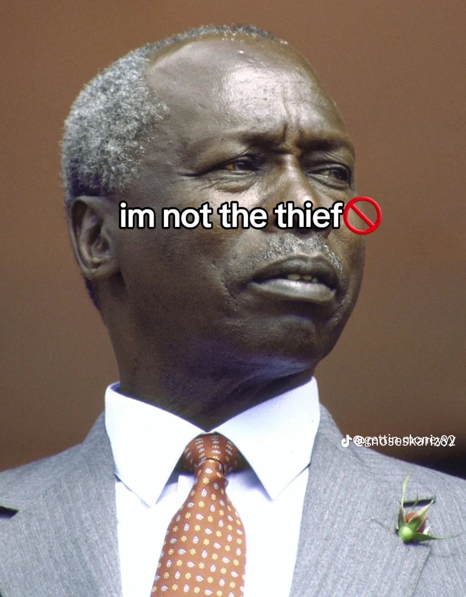 kilundeezy's tweet photo. 😂😂 i’m not the thief challenge https://t.co/RC6JF4VRln
