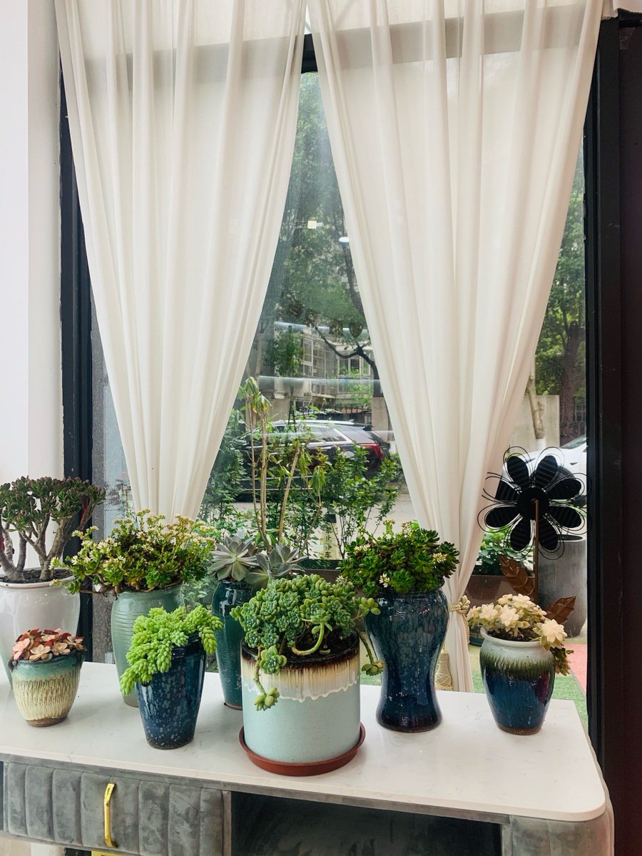 aislk904753's tweet photo. Just finished this macramé plant hanger for my windowsill —took only 30 mins, perfect for sprucing up small spaces! #HandmadeCrafts https://t.co/vPXAaVTF3r