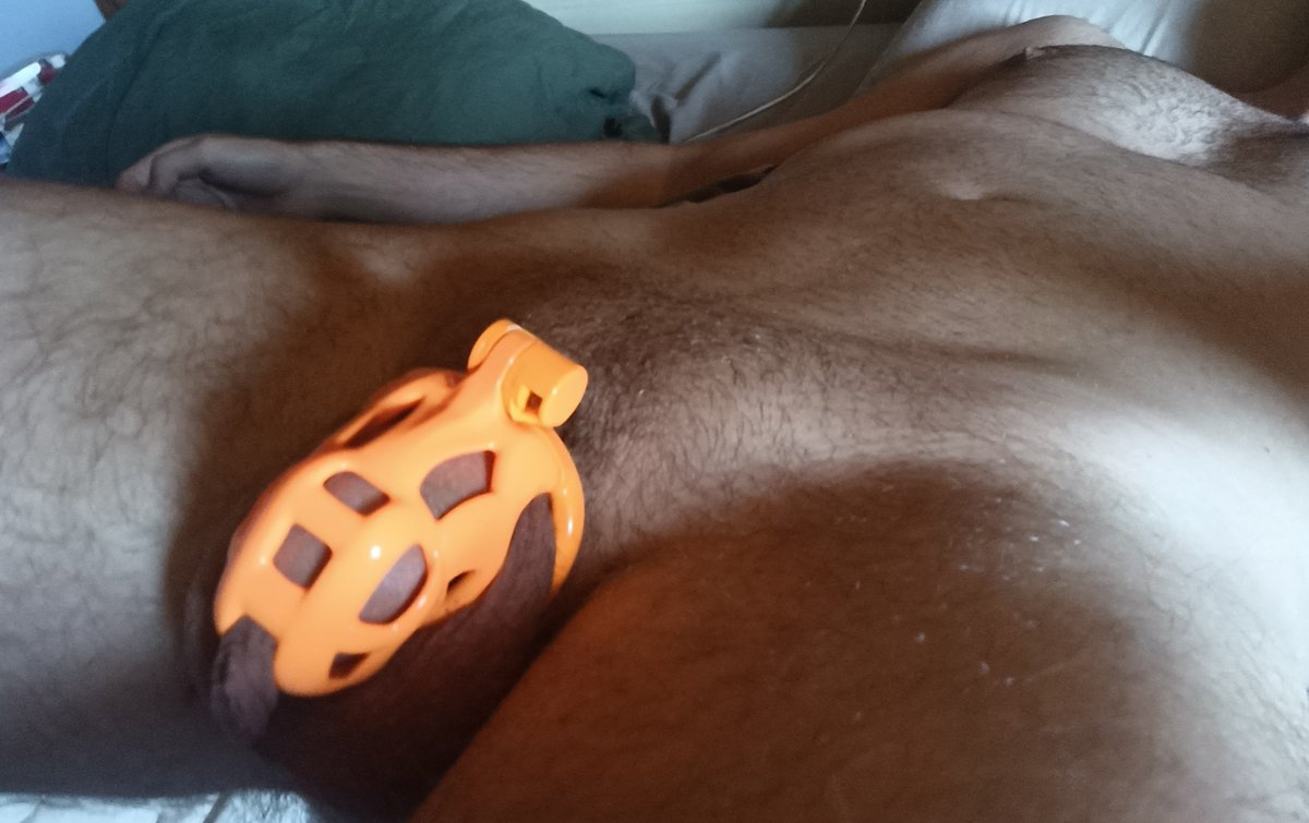 HighWoodSub's tweet photo. Back in my beloved orange cage as requested 🔒🧡

@kink_wear @CagedLegion
#TeamLocked #GayChastity #CageCheck #Kinkwear https://t.co/SVj4EarKin