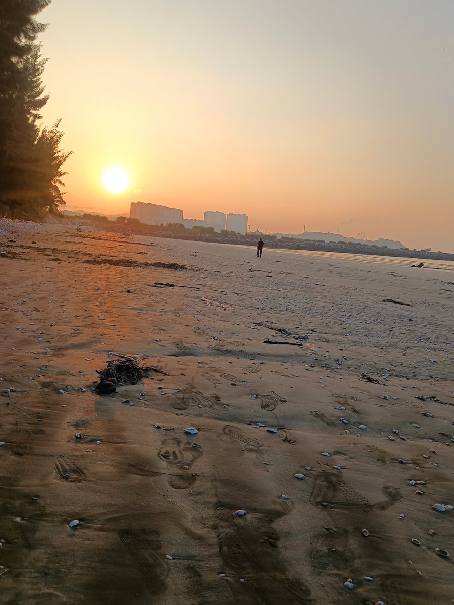 6T1SM's tweet photo. Just wrapped a quick morning run around the coastal path—fresh sea breeze and sunrise hues made the 5km trip totally worth it! ， https://t.co/6L7lUpYLB0