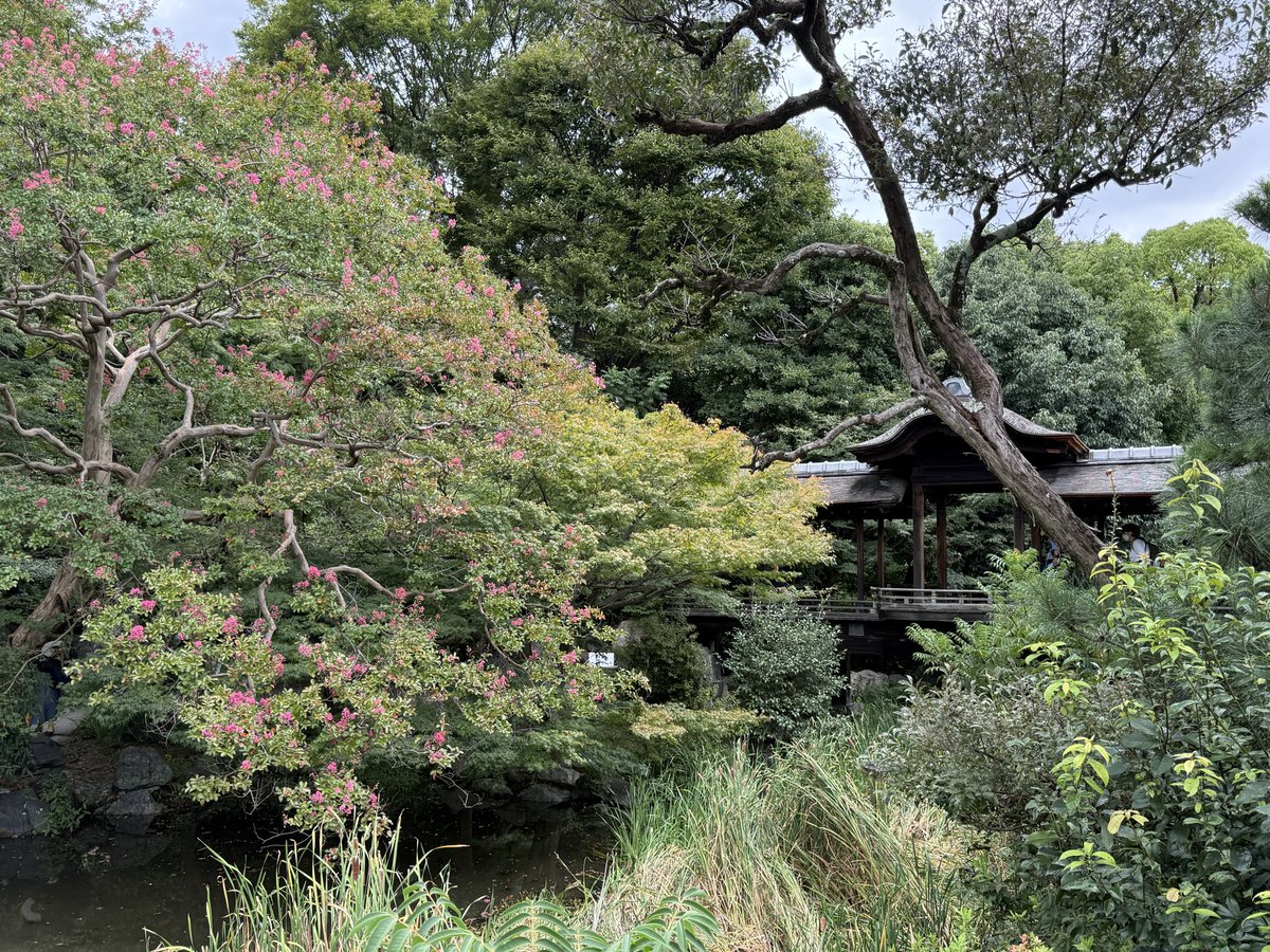 Always_Brooklyn's tweet photo. お庭さんはいいな

#渉成園 https://t.co/AZq5hyIV4E