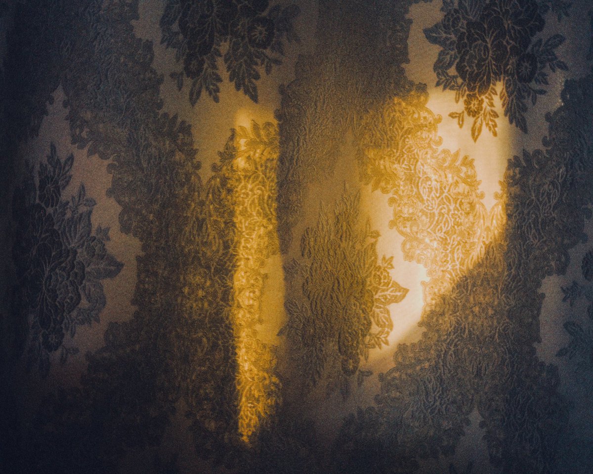 shorya_0901's tweet photo. I love the morning sunlight on my curtains. https://t.co/71O7BCGVXV