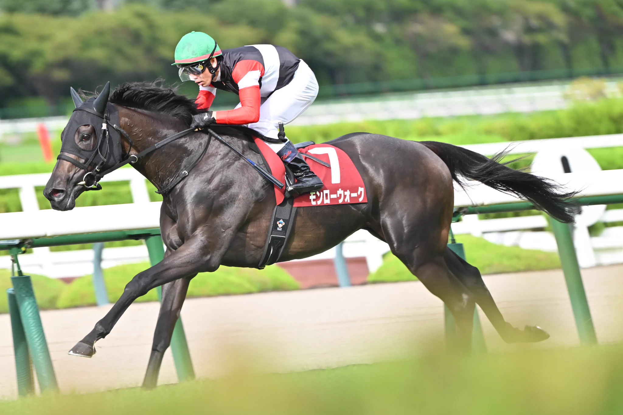 馬 DAICHI MATSUMOTO (@Matsu_LH44) / X