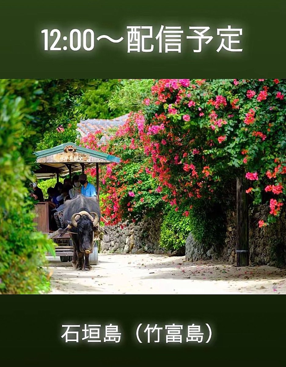 LinoPhotograph's tweet photo. 撮影のご予約いただいたお客様。
身内に不幸があるとのことで福岡に戻るからキャンセルとご連絡いただきました。
そしたらその当日福岡にはおらず石垣にいるし、何なら竹富島でライブ配信してました。
もう少しマシな嘘をお願いしたい。
残念です。 https://t.co/cZtne3fPML