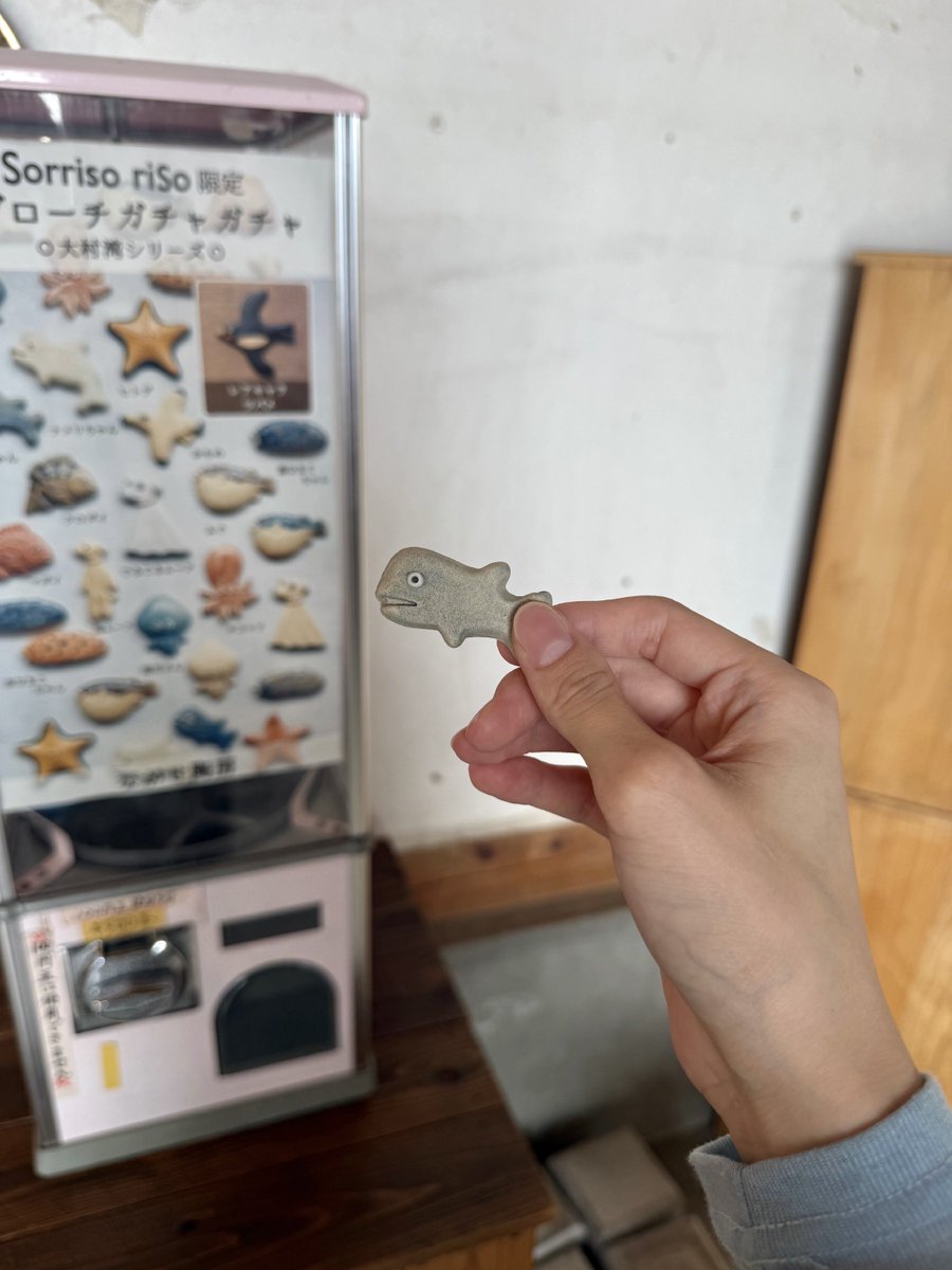aim02719's tweet photo. 陶器のブローチガチャガチャ、海の生き物バージョンも見つけたから回してみた💫やっぱり可愛い https://t.co/jkNOJLndT3