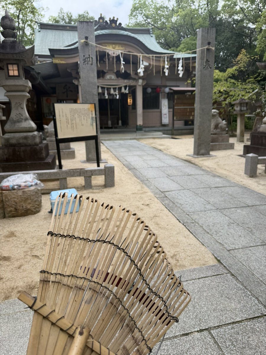 CpYukie's tweet photo. 今日は朝から八田荘校区
#蜂田神社 の落葉清掃🧹
参加してきました

休憩を挟んで約1時間半
大人数で一斉にやると
落葉もほぼなくなり
広い境内もすっきり‼️

皆さんと掃除をしながら
色々なお話をしました

この界隈は
小学校や中学校
幼稚園(今は閉園)
鈴の宮公園に神社…と
#文化 #教育 の地区

元幼稚園の跡地(建物)を
地域の子どもたちの
学び場遊び場にならないか…
これがずっと課題になっています
子育て世帯を増やすには
他地区にはない環境を
先ずは整備することも大事

氏神を祀る神社⛩️に
こうして年2回集まると
久しぶりの顔がみれて嬉しい

そんなお声も聞きました

自治会加入が減り
地域活動がなかなかできない…
そんな話もよく聞きますが
こういった地域交流の場が
大切に続いていきますように

参加のお土産に
#福美鮨 巻き寿司いただきました