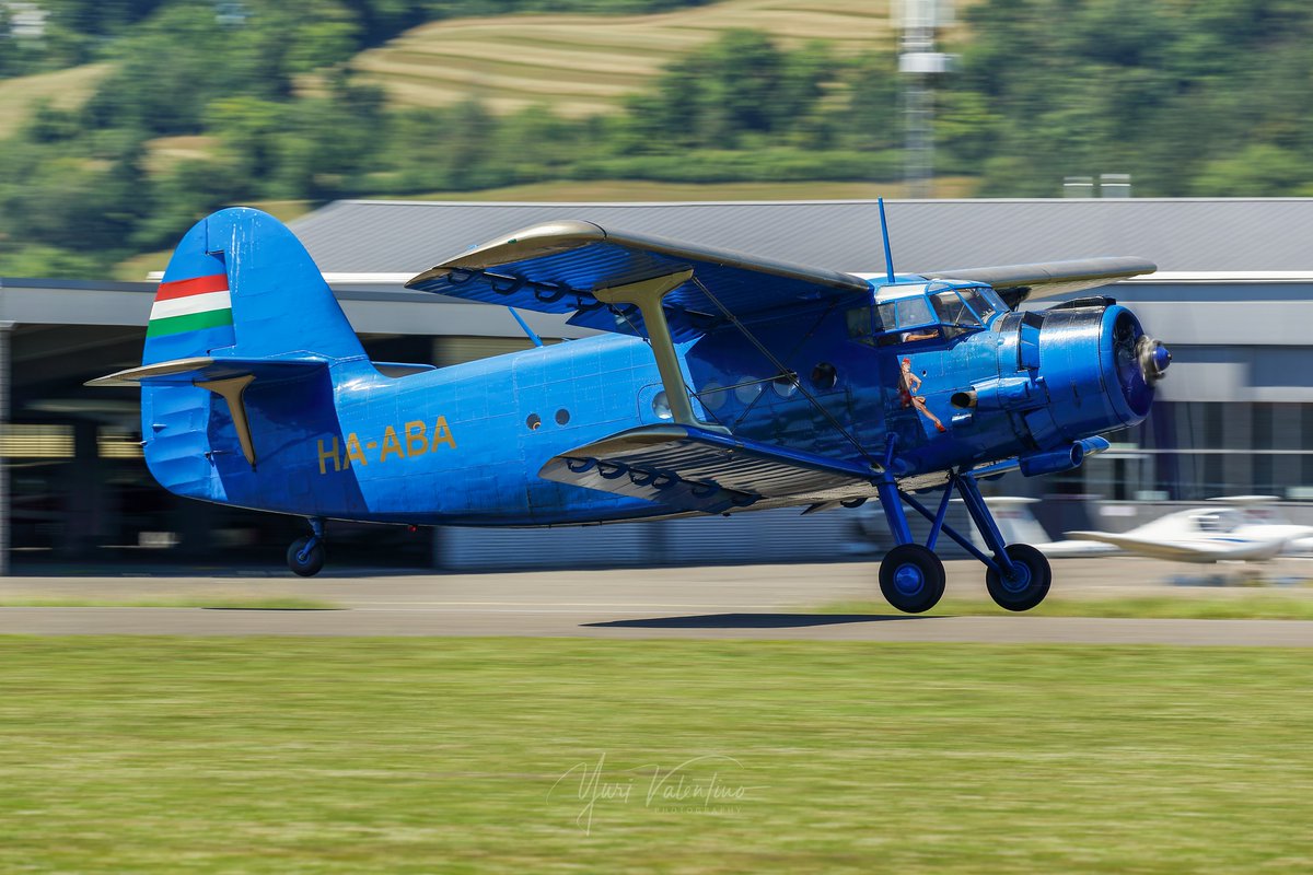 marcelocpz's tweet photo. . 🗓 2025/06/28
📔 Antonov Verein Schweiz
🛫 Antonov AN-2P
🆔 HA-ABA
🌍 LSZF - Flugplatz Birrfeld https://t.co/8EtQAuAly0
