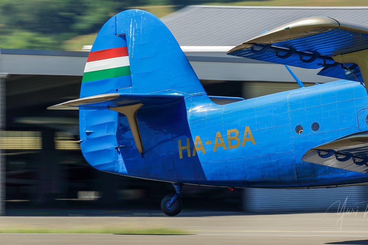 marcelocpz's tweet photo. . 🗓 2025/06/28
📔 Antonov Verein Schweiz
🛫 Antonov AN-2P
🆔 HA-ABA
🌍 LSZF - Flugplatz Birrfeld https://t.co/8EtQAuAly0