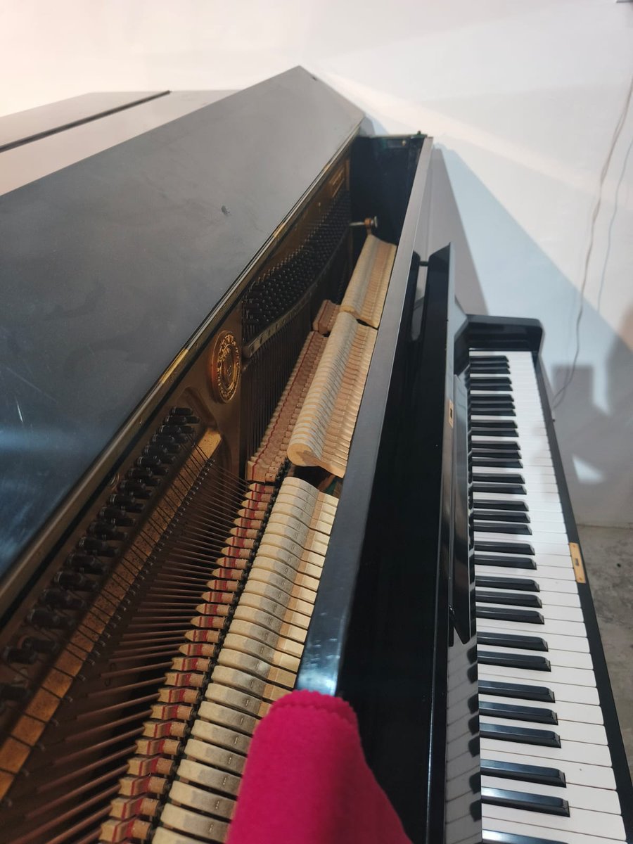 NakestraMus's tweet photo. Eterna Model 1 (Eterna is made by Yamaha) https://t.co/H2SsJlxBwI